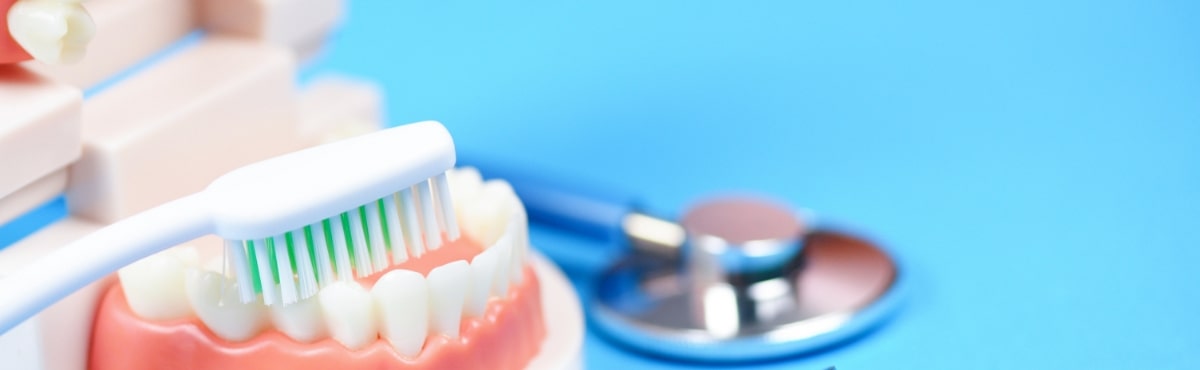 Animated toothbrush and smile model representing preventive dentistry